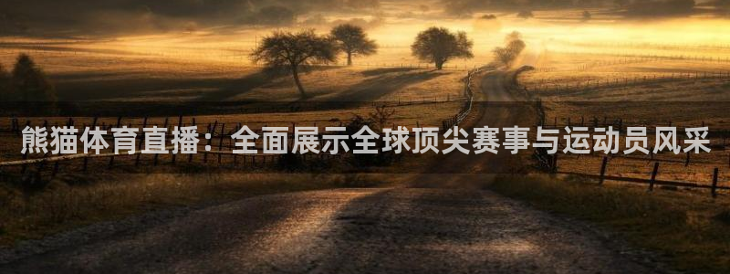 新球体育即时分：熊猫体育直播：全面展示全球顶尖赛事与运动员风采