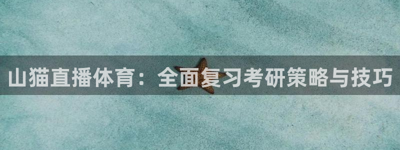 新球体育足球官网：山猫直播体育：全面复习考研策略与技巧