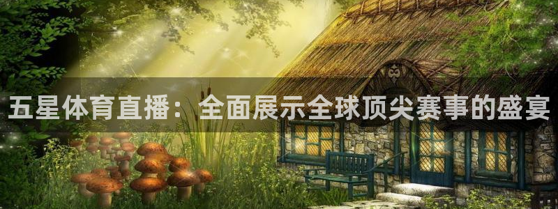 新球体育比分：五星体育直播：全面展示全球顶尖赛事的盛宴