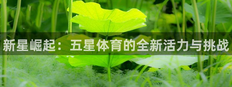 新球体育网球比分：新星崛起：五星体育的全新活力与挑战