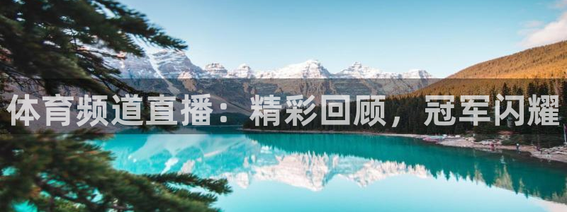 新球赛直播