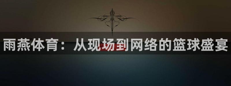 新球体育篮球比分：雨燕体育：从现场到网络的篮球盛宴